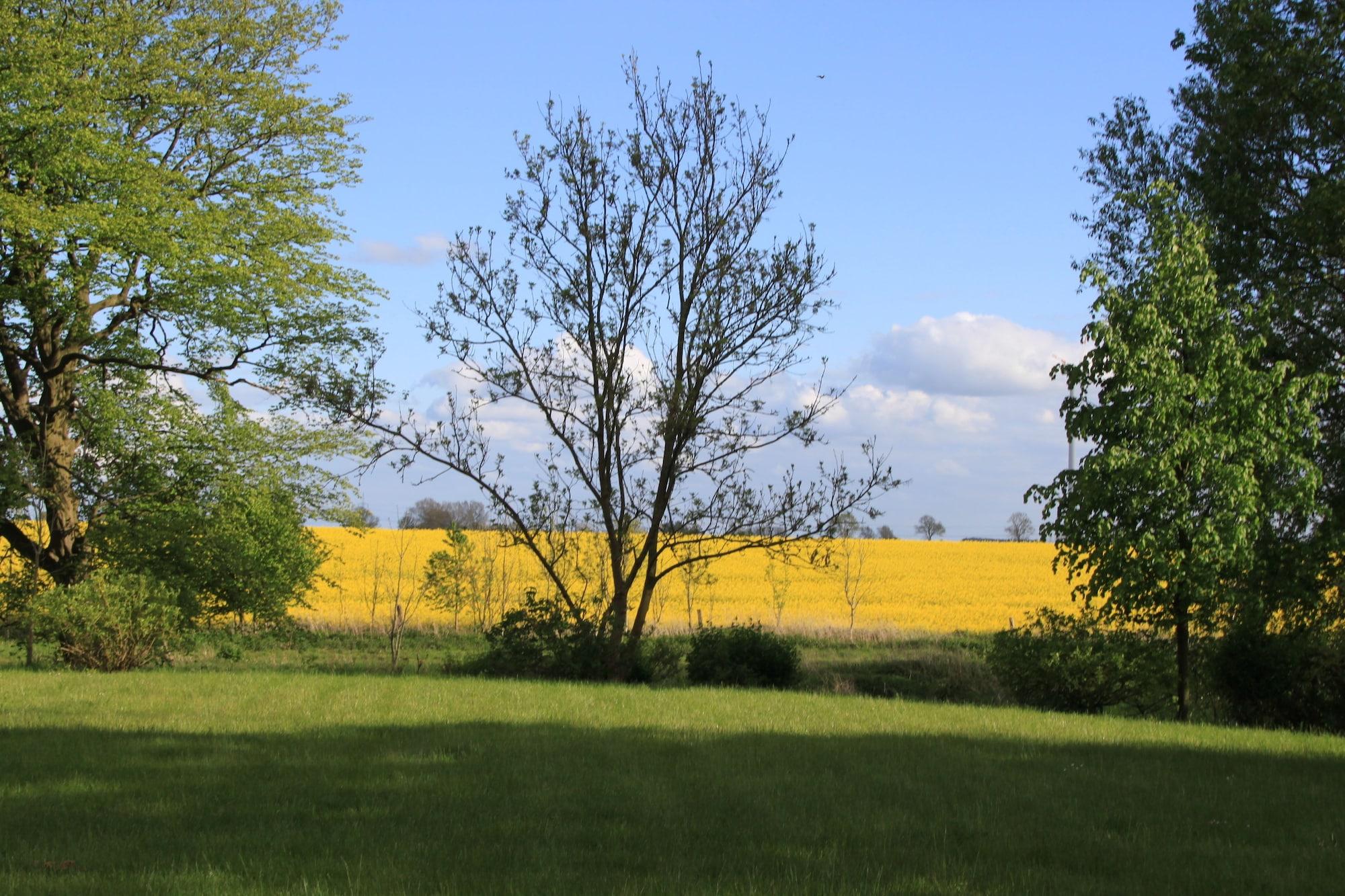 Land Gut Hotel Hermann Bentwisch Exteriör bild
